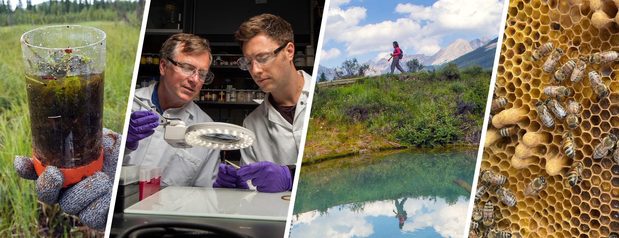 Department of Enviromental Toxicology