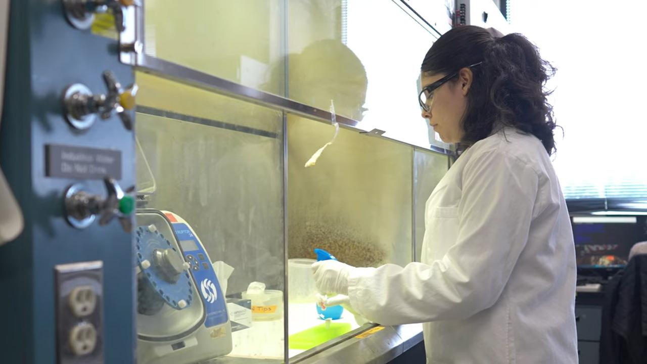 Undergraduate researcher Ashley de la Torre
