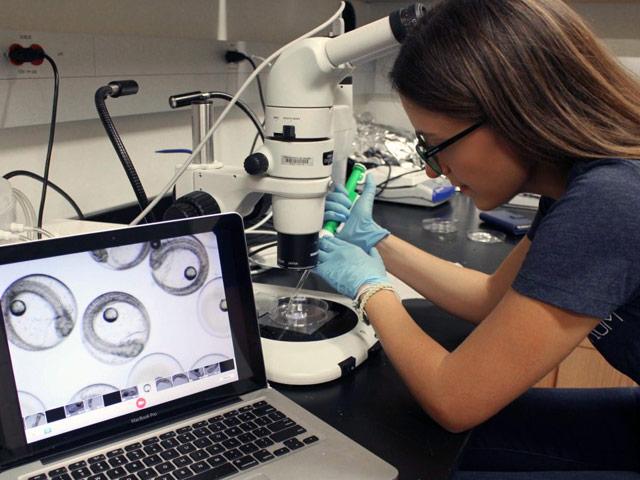 What we research
