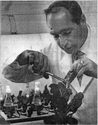 Gunter Zweig