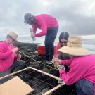 Zeke Spooner (top) with team members sampling tide pools at Bodega Marine Lab.